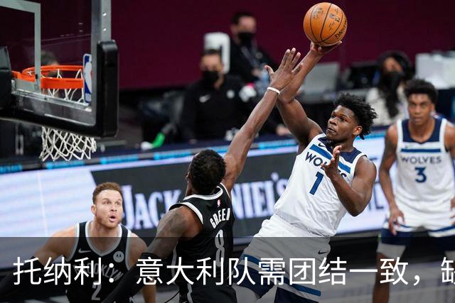 托纳利：意大利队需团结一致，缺乏改变比赛的明星球员